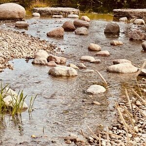 Meet your Posher, Pauletta